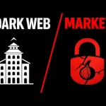 Why Scam Reports Spread Faster Than Verified Reviews